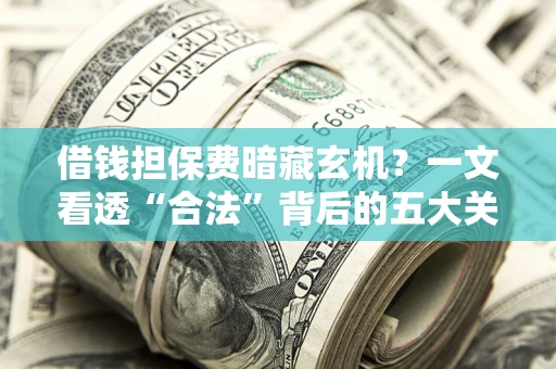 济南借钱担保费暗藏玄机？一文看透“合法”背后的五大关键陷阱