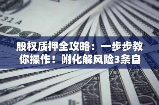 济南股权质押全攻略：一步步教你操作！附化解风险3条自救法则