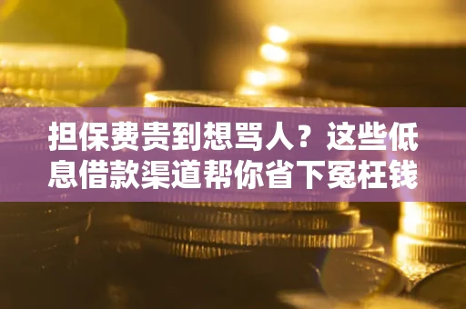 济南担保费贵到想骂人？这些低息借款渠道帮你省下冤枉钱