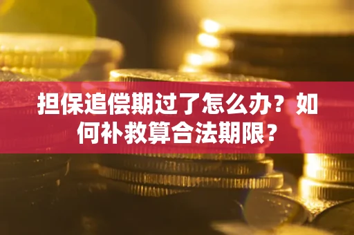 济南担保追偿期过了怎么办？如何补救算合法期限？
