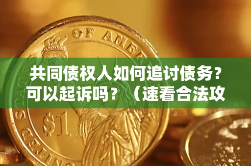 济南共同债权人如何追讨债务？可以起诉吗？（速看合法攻略）
