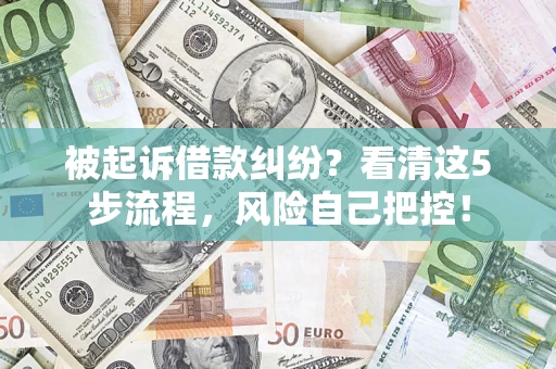 济南被起诉借款纠纷？看清这5步流程，风险自己把控！