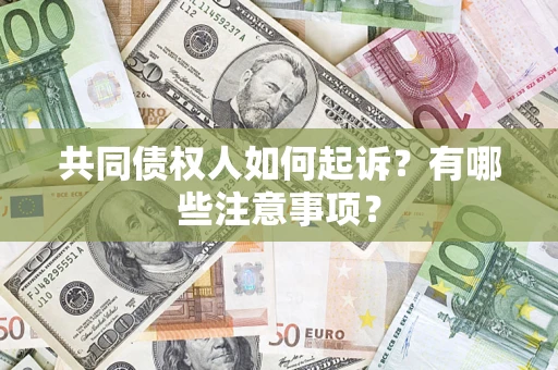 济南共同债权人如何起诉？有哪些注意事项？