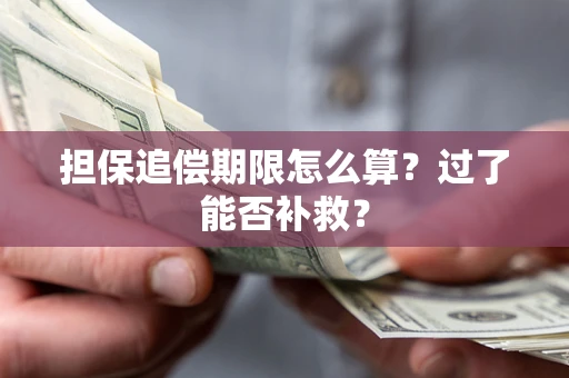 济南担保追偿期限怎么算？过了能否补救？